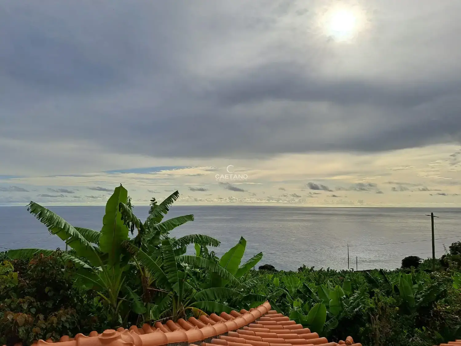  köpa tomt Calheta Calheta (Madeira) 8