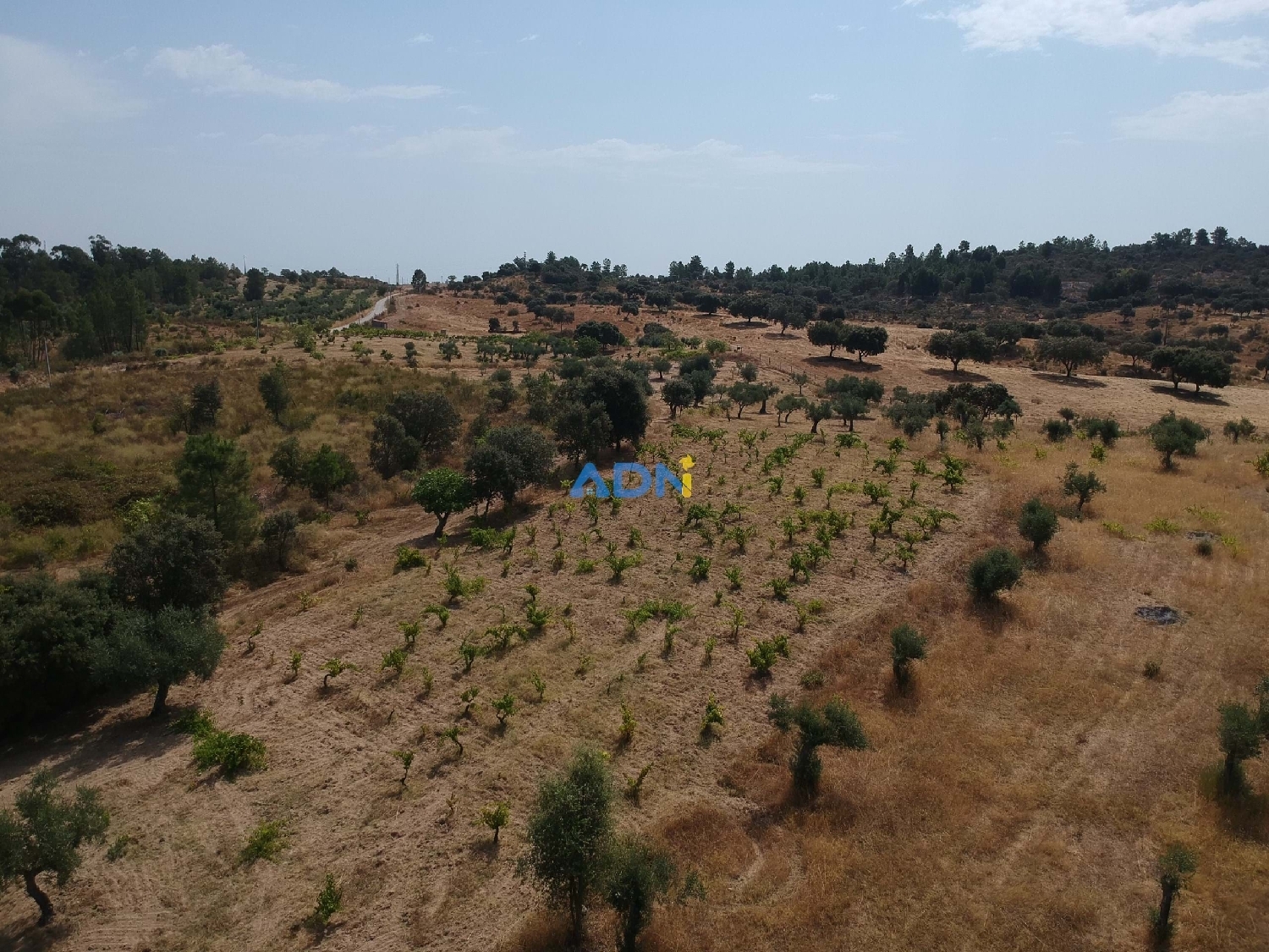  en venta terreno Castelo Branco Castelo Branco 1