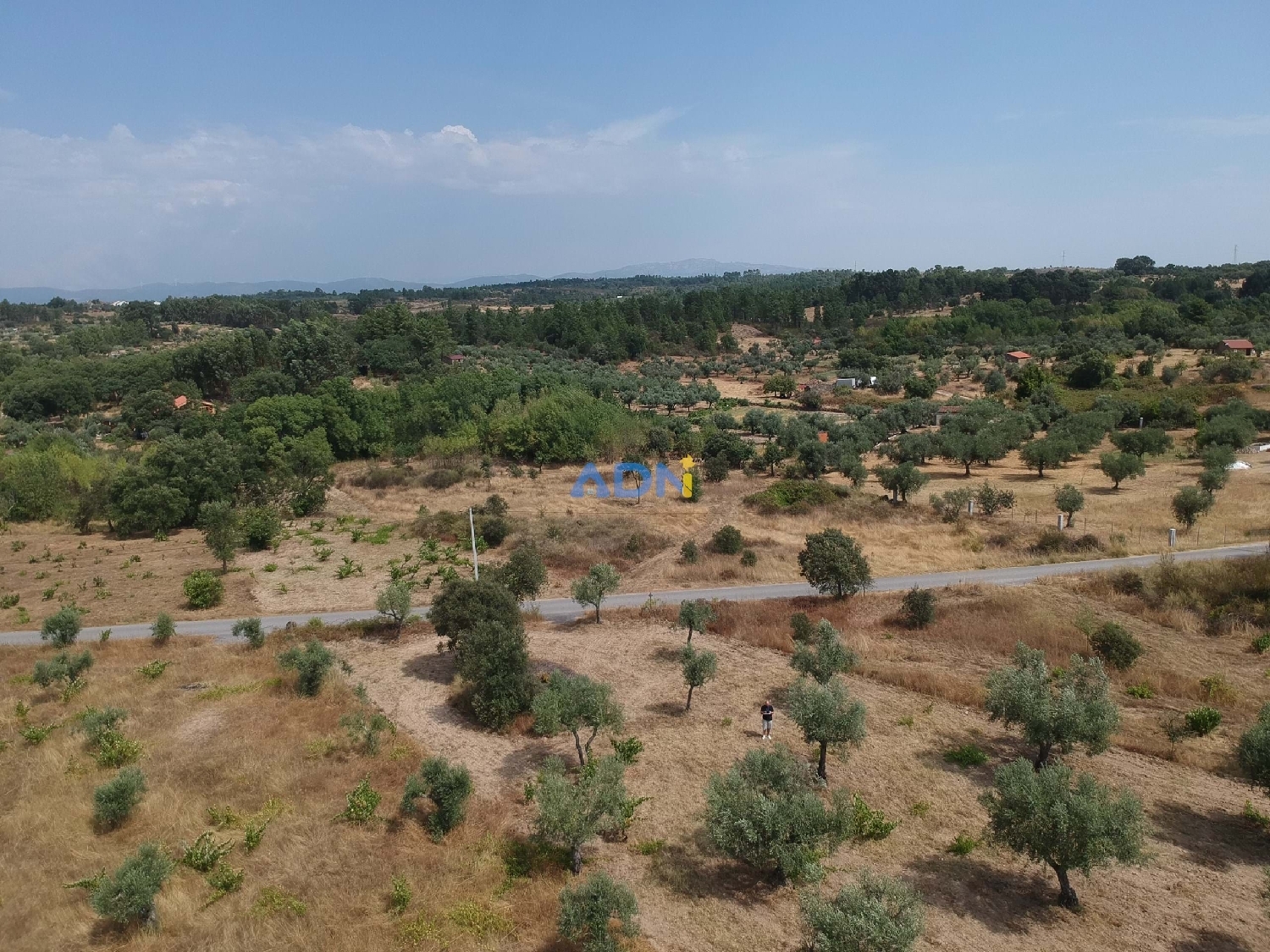  en venta terreno Castelo Branco Castelo Branco 4