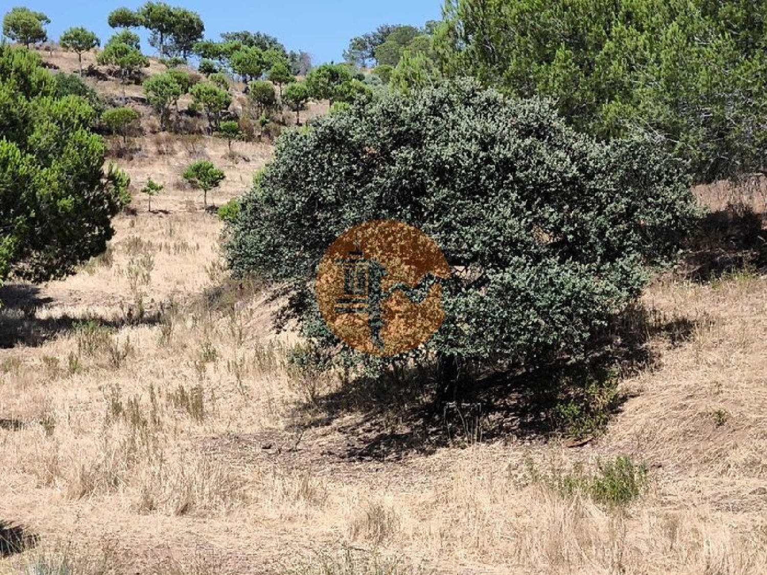  te koop terrein Castro Marim Castro Marim 5