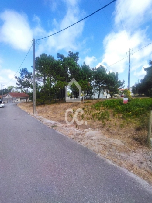 Marinha Grande Marinha Grande terrein foto 338207