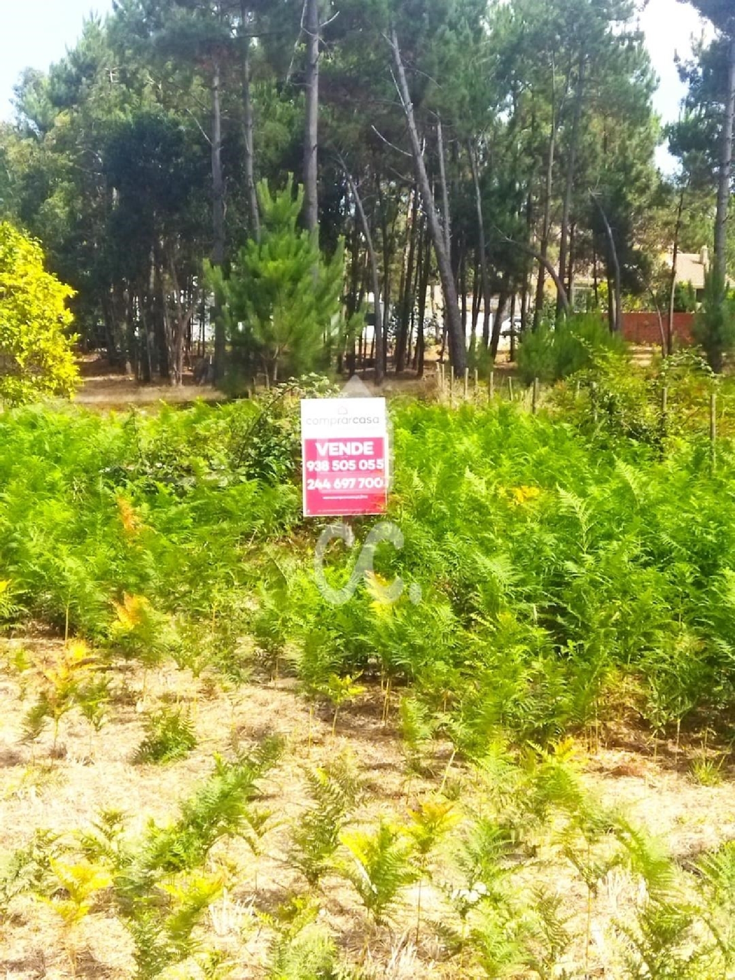  te koop terrein Marinha Grande Marinha Grande 7