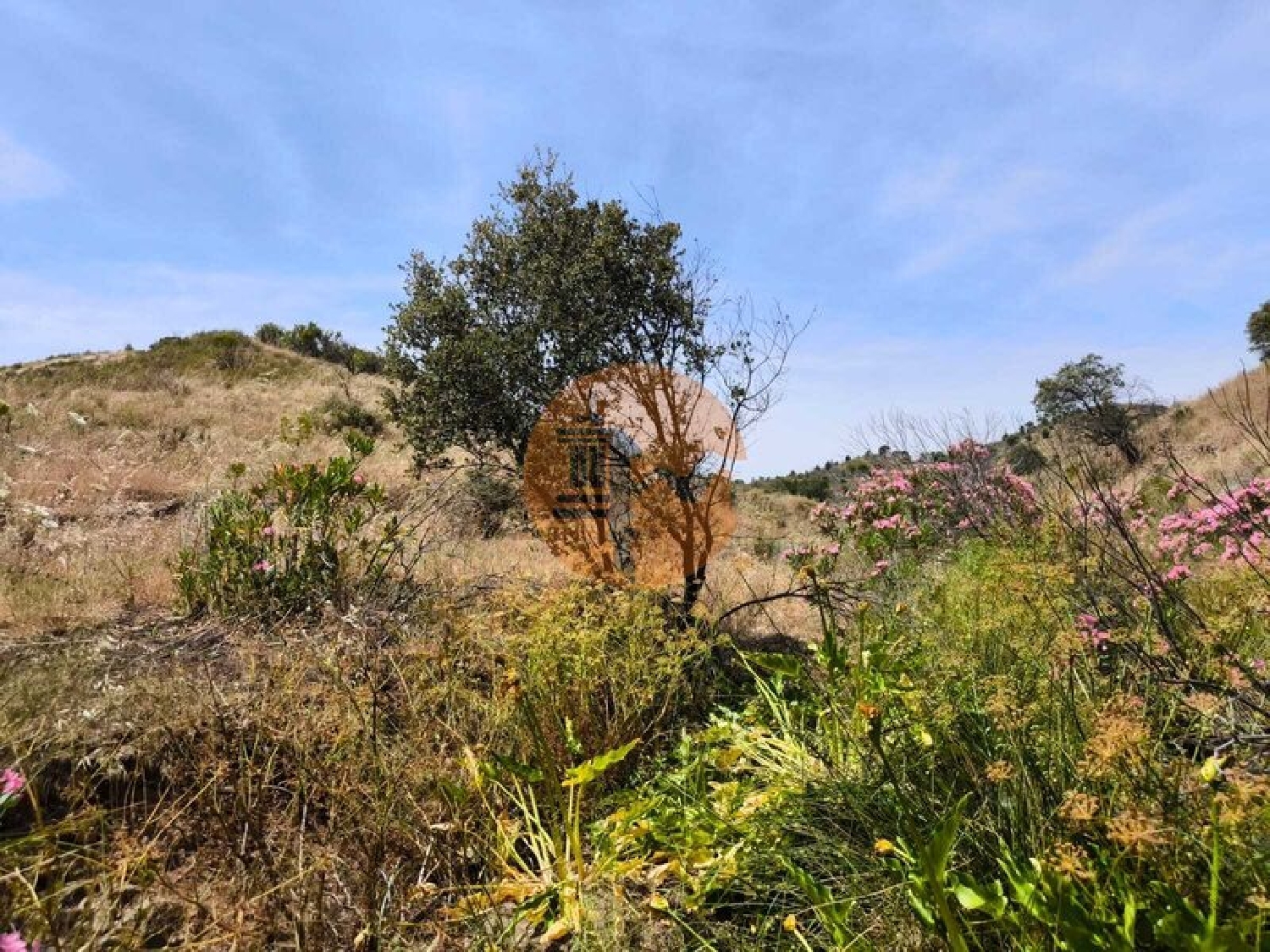  te koop terrein Vila Nova de Cacela Vila Real De Santo António 6