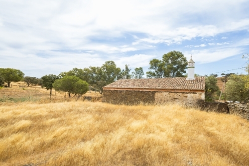 Almodôvar Almodôvar villa foto 338398