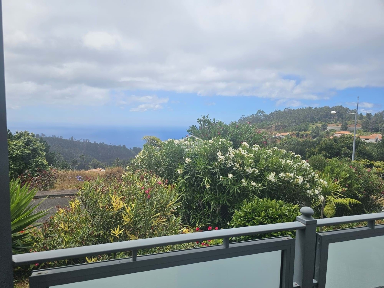  kaufen Villa Calheta Calheta (Madeira) 2