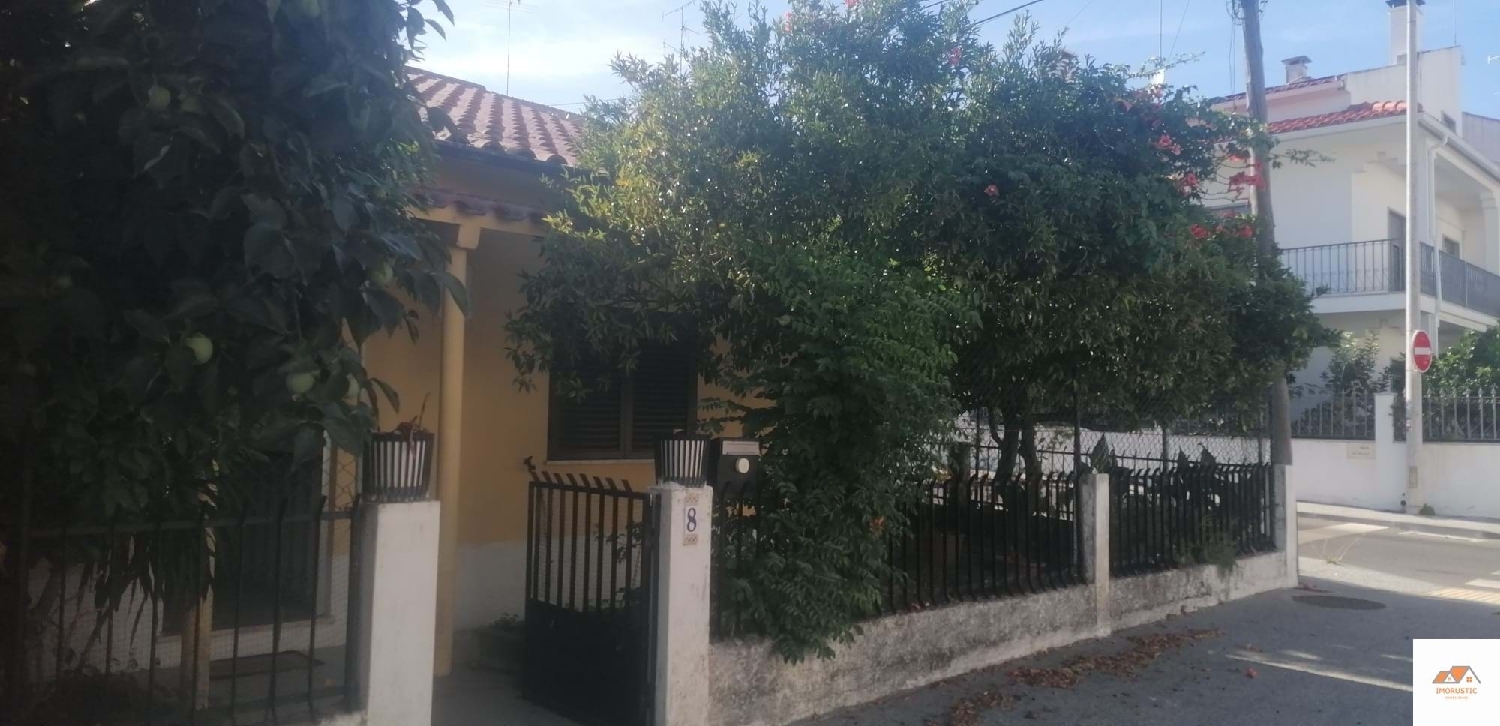  à venda vila Castelo Branco Castelo Branco 3