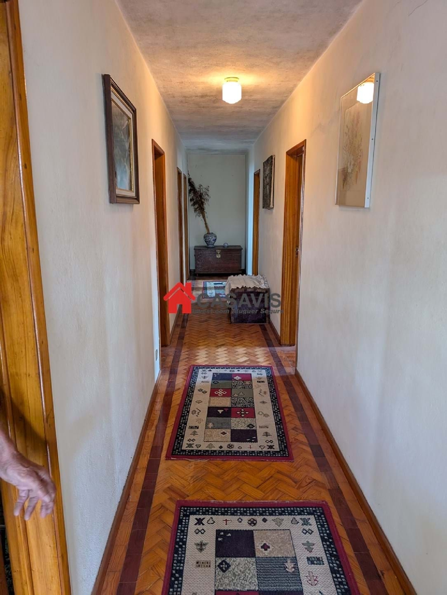  for sale farm Nelas Nelas 1