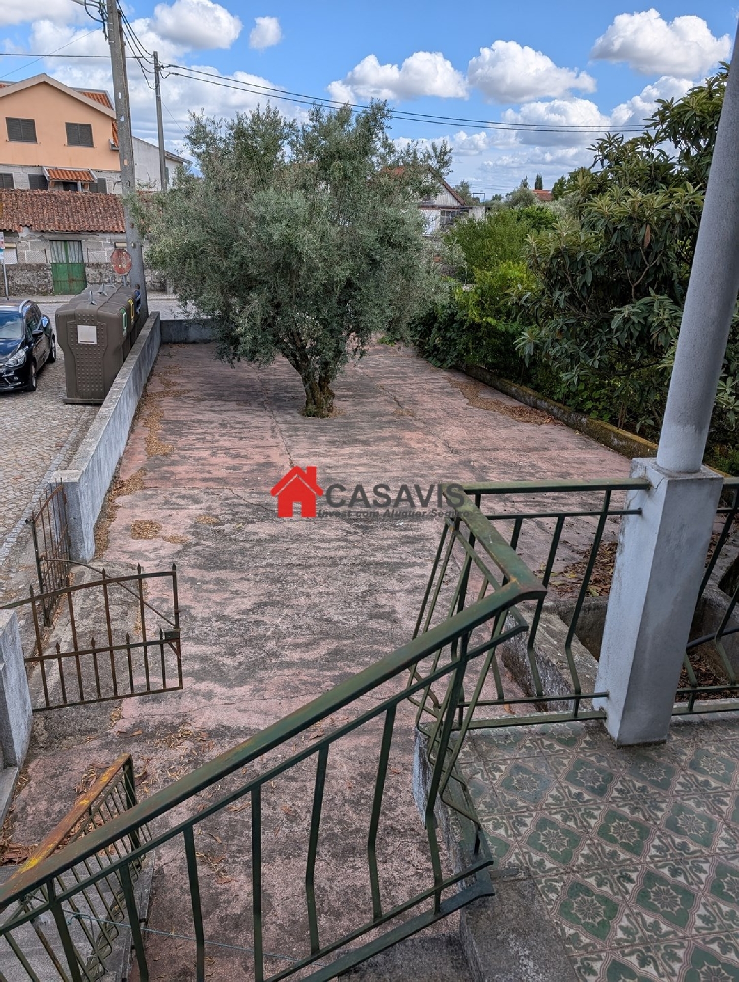  for sale farm Nelas Nelas 7