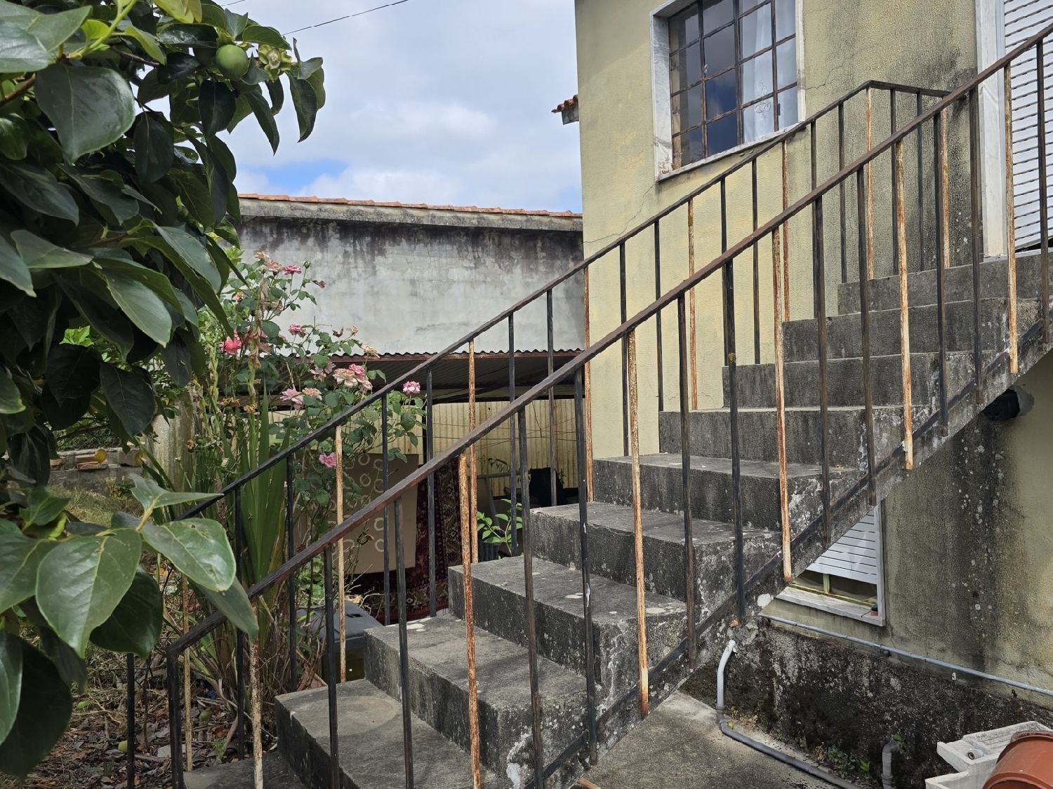 for sale house Ameal Coimbra 3