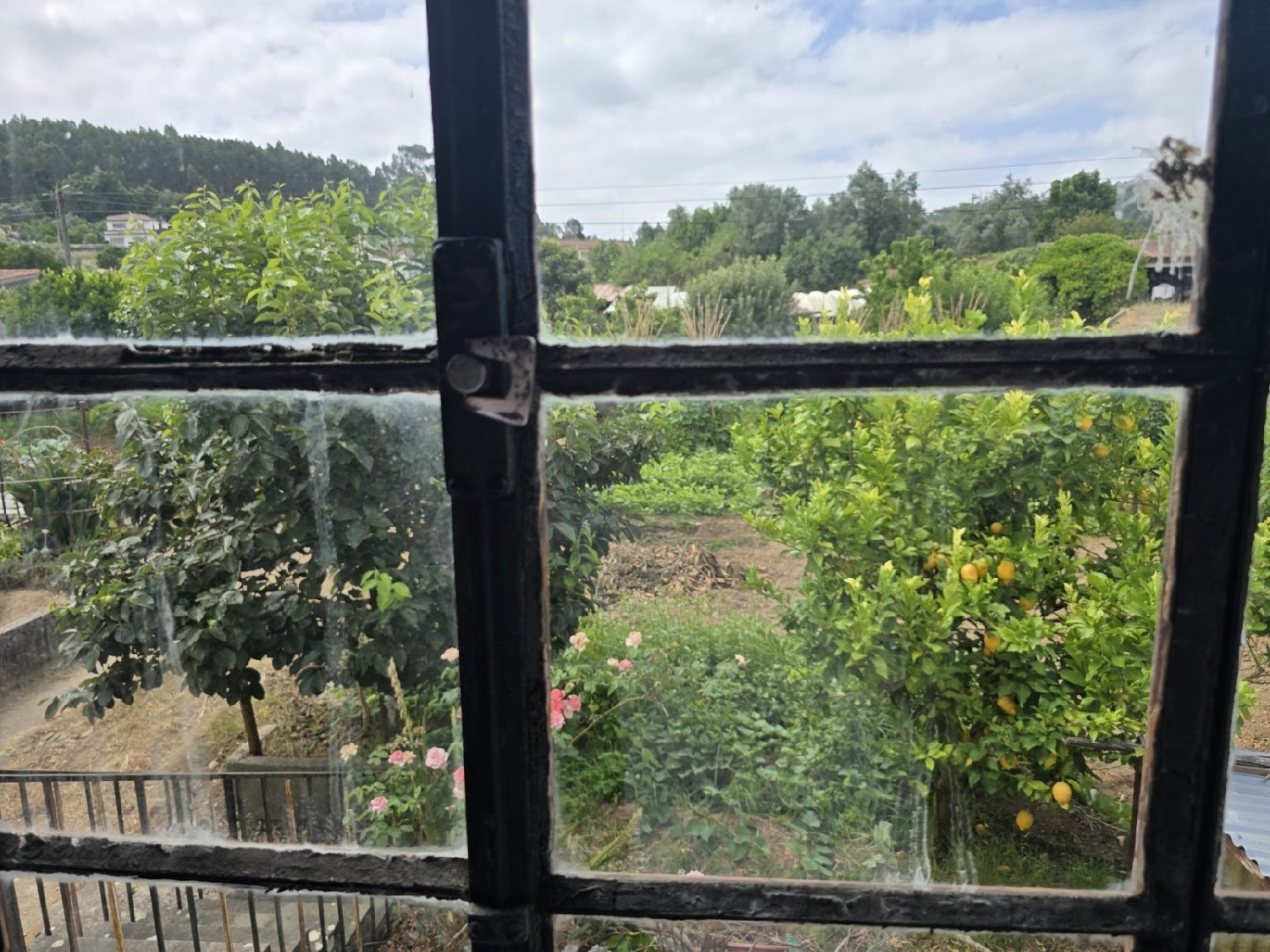  for sale house Ameal Coimbra 6