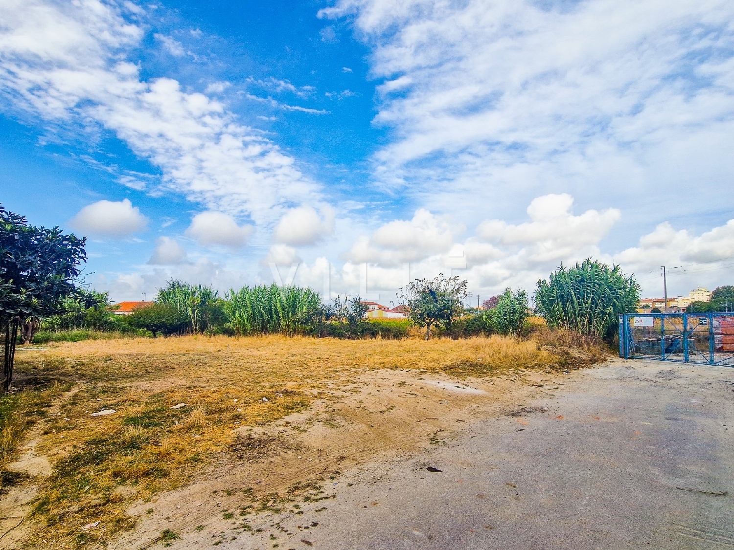  te koop huis Aveiro Aveiro 4