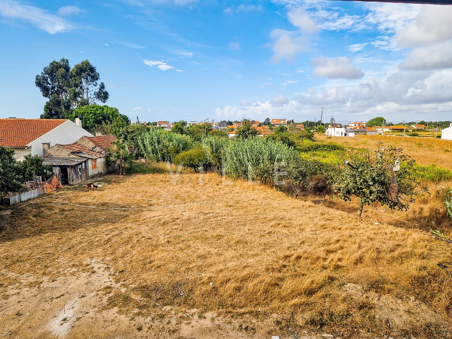  te koop huis Aveiro Aveiro 5