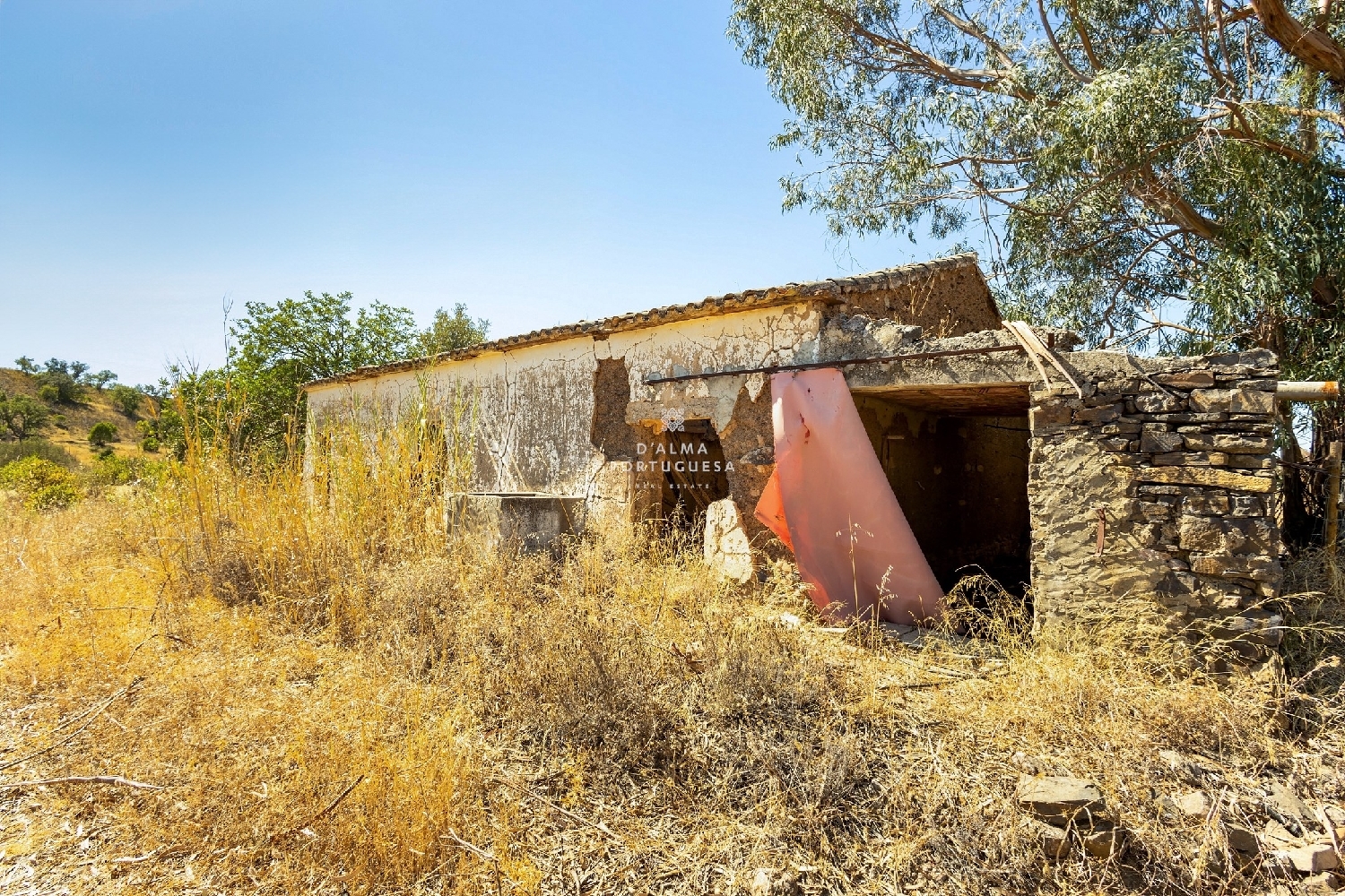  kaufen Haus Silves Silves 5