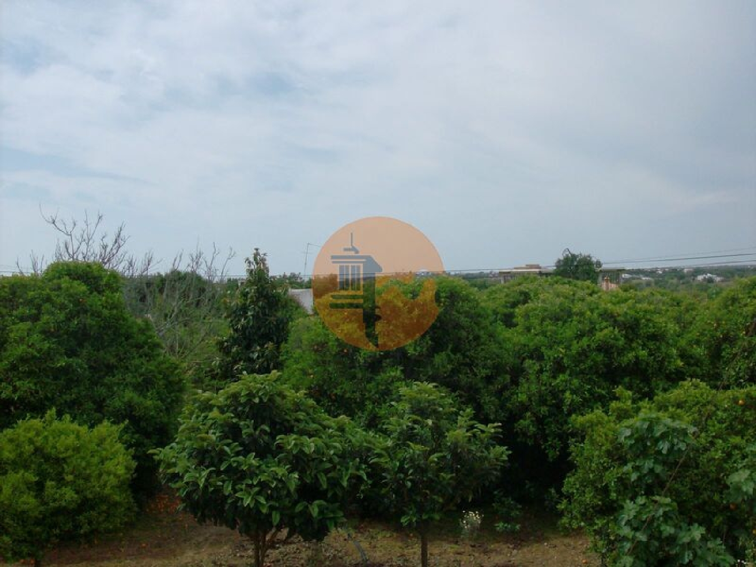  for sale terrain Luz Lagos 2