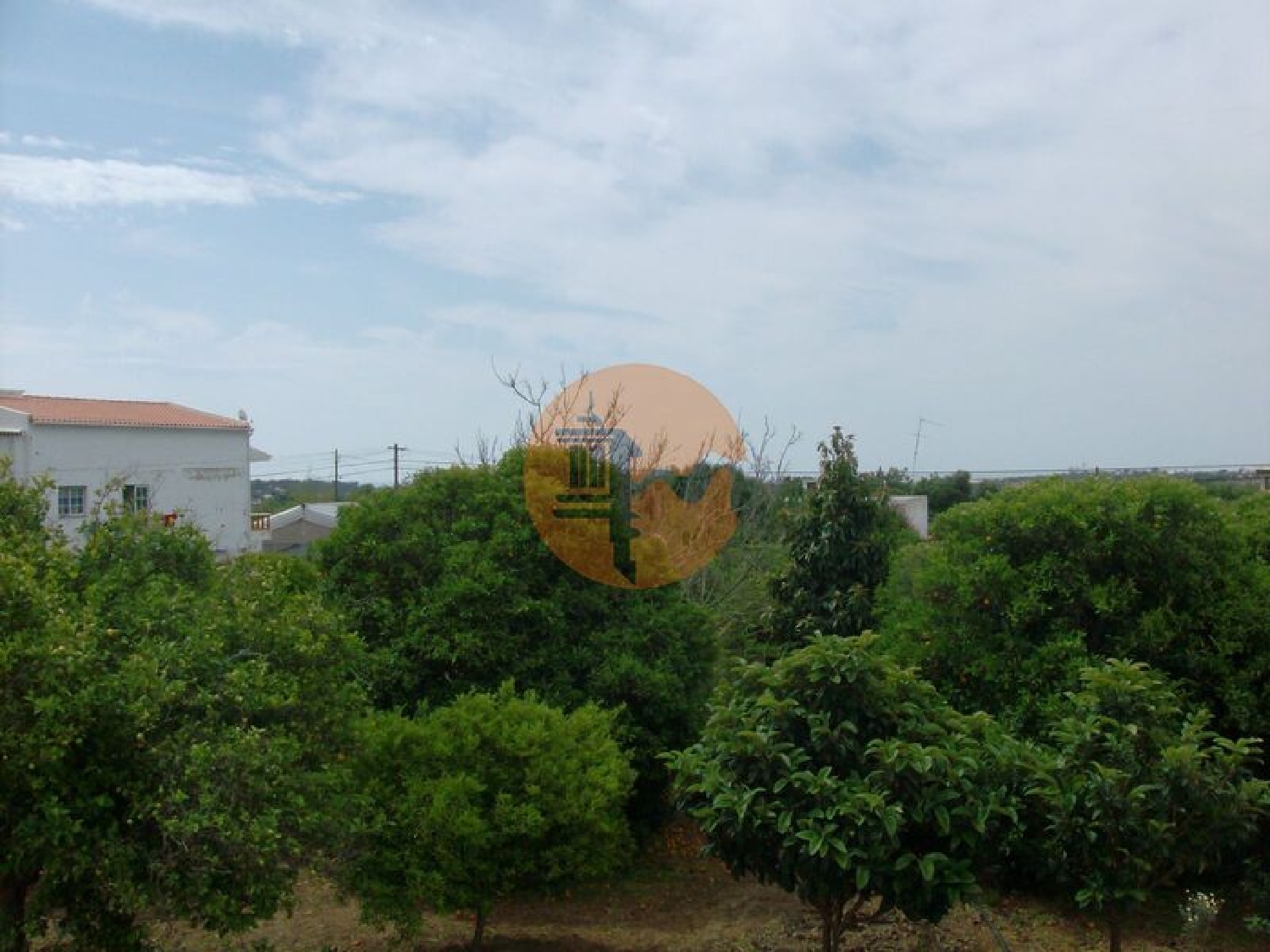  for sale terrain Luz Lagos 3