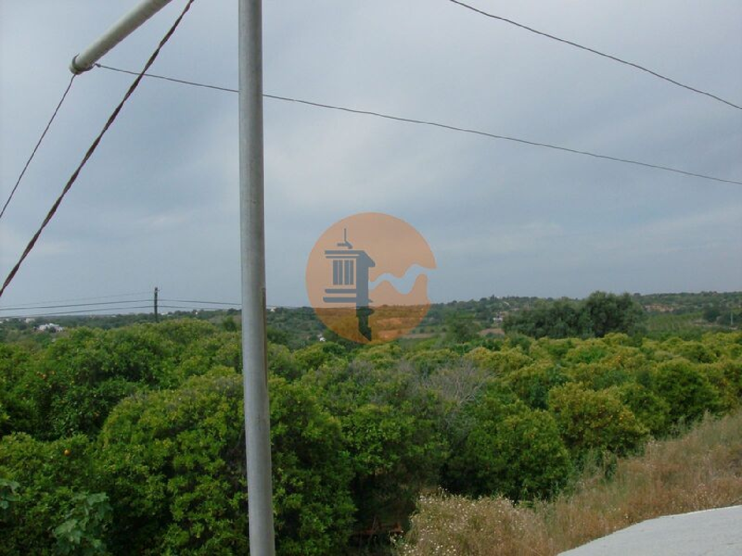  for sale terrain Luz Lagos 4