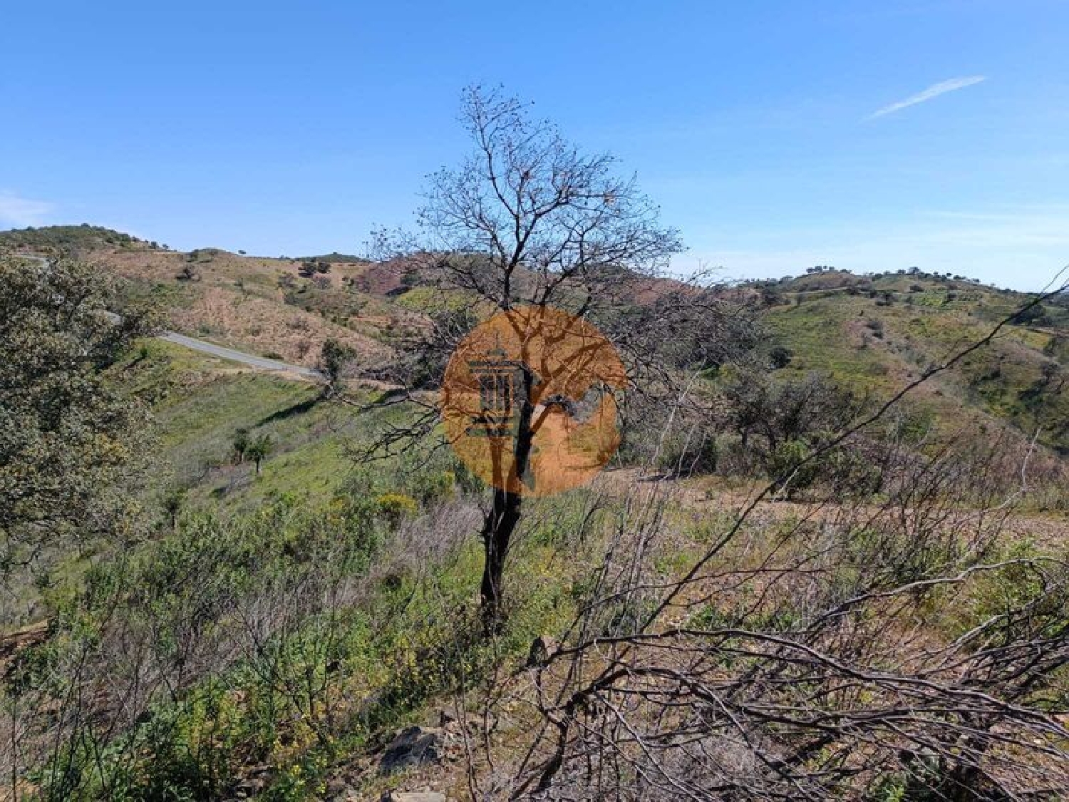 for sale terrain Odeleite Castro Marim 4