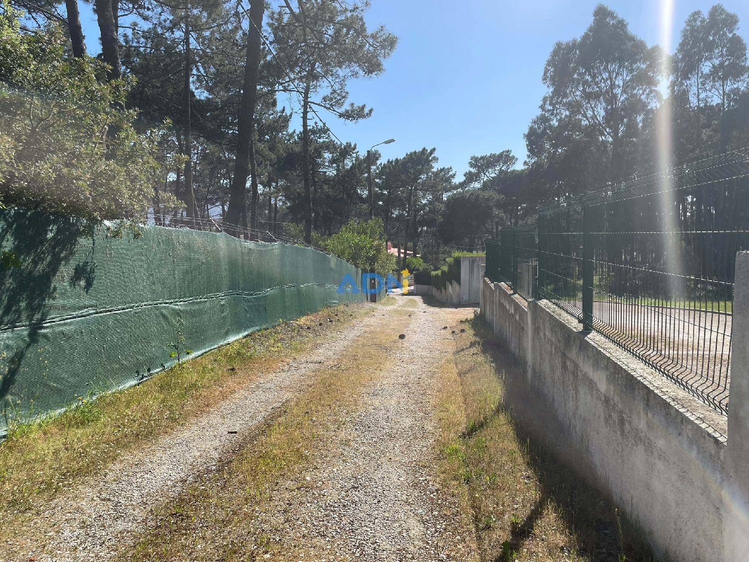  kaufen Grundstück Sintra Sintra 1