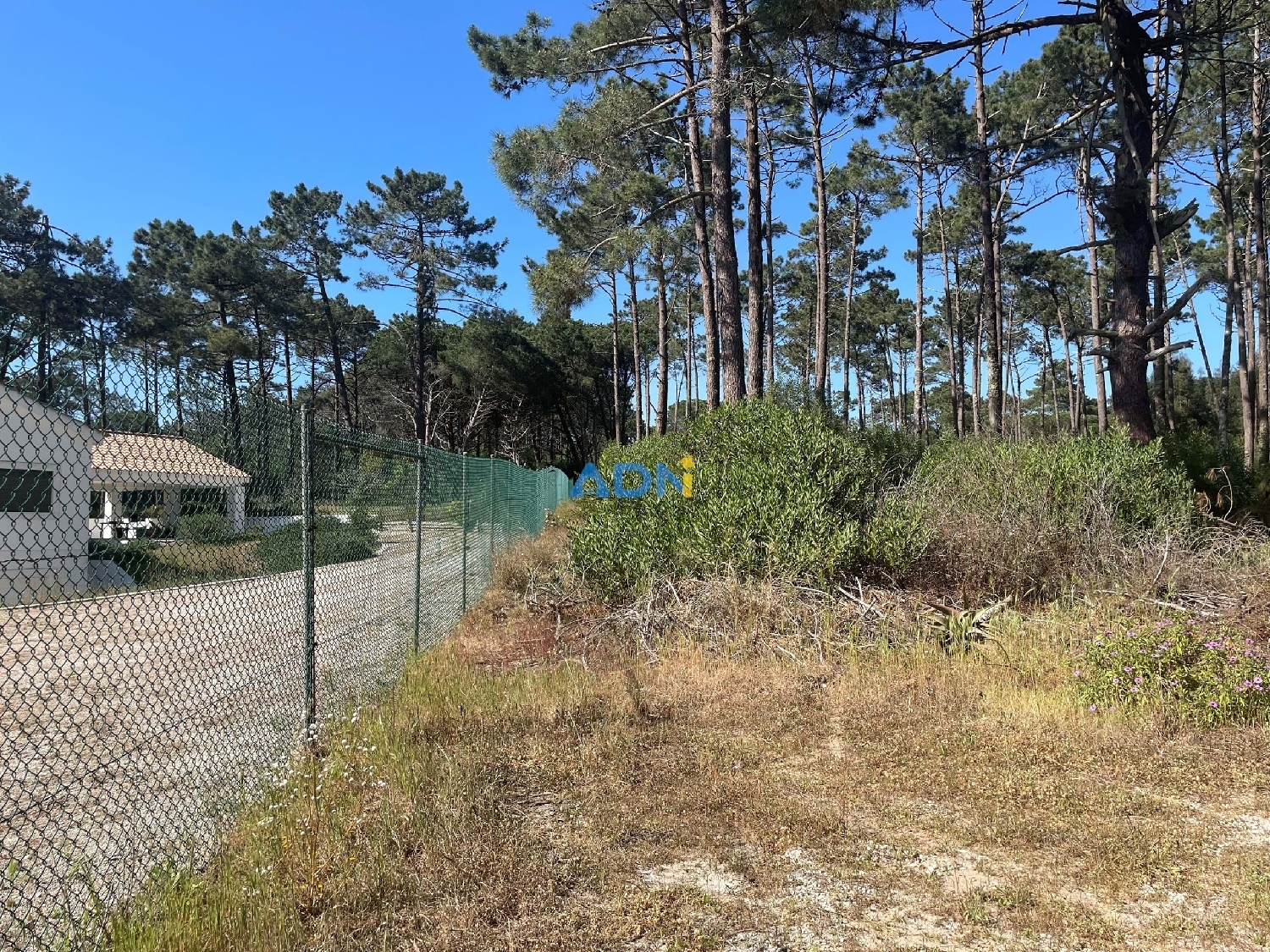  kaufen Grundstück Sintra Sintra 2