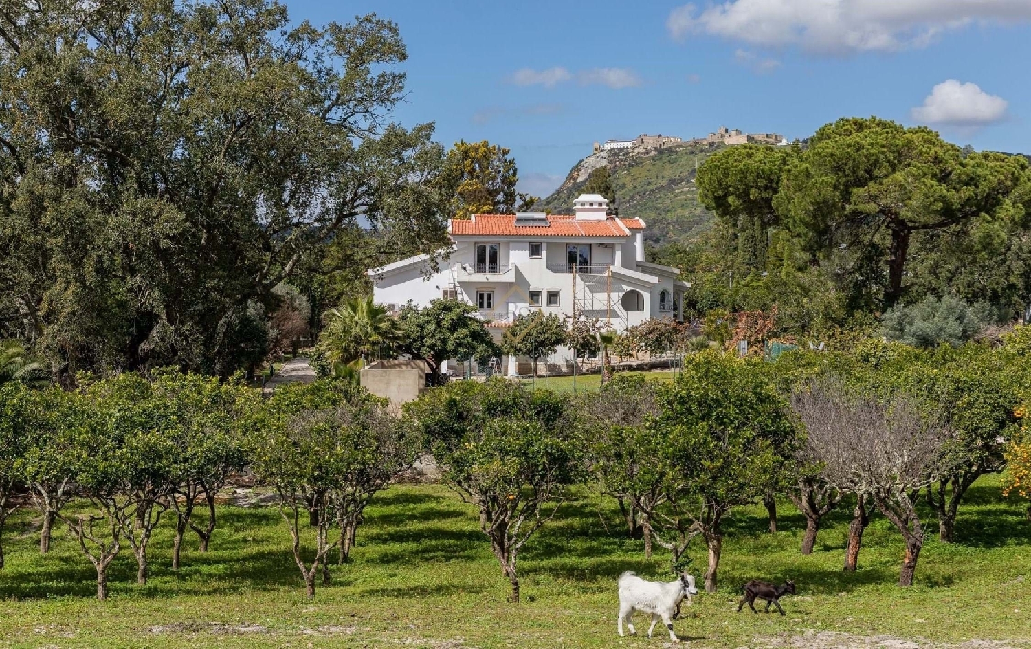  te koop villa Palmela Palmela 1