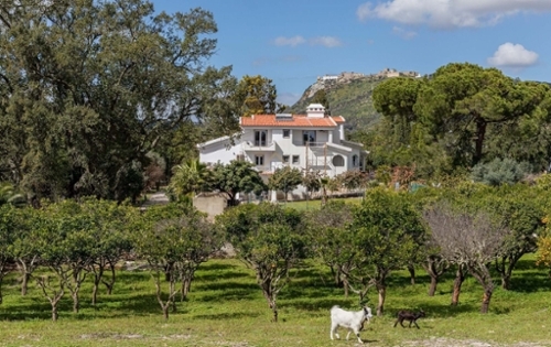 Palmela Palmela villa foto 339192