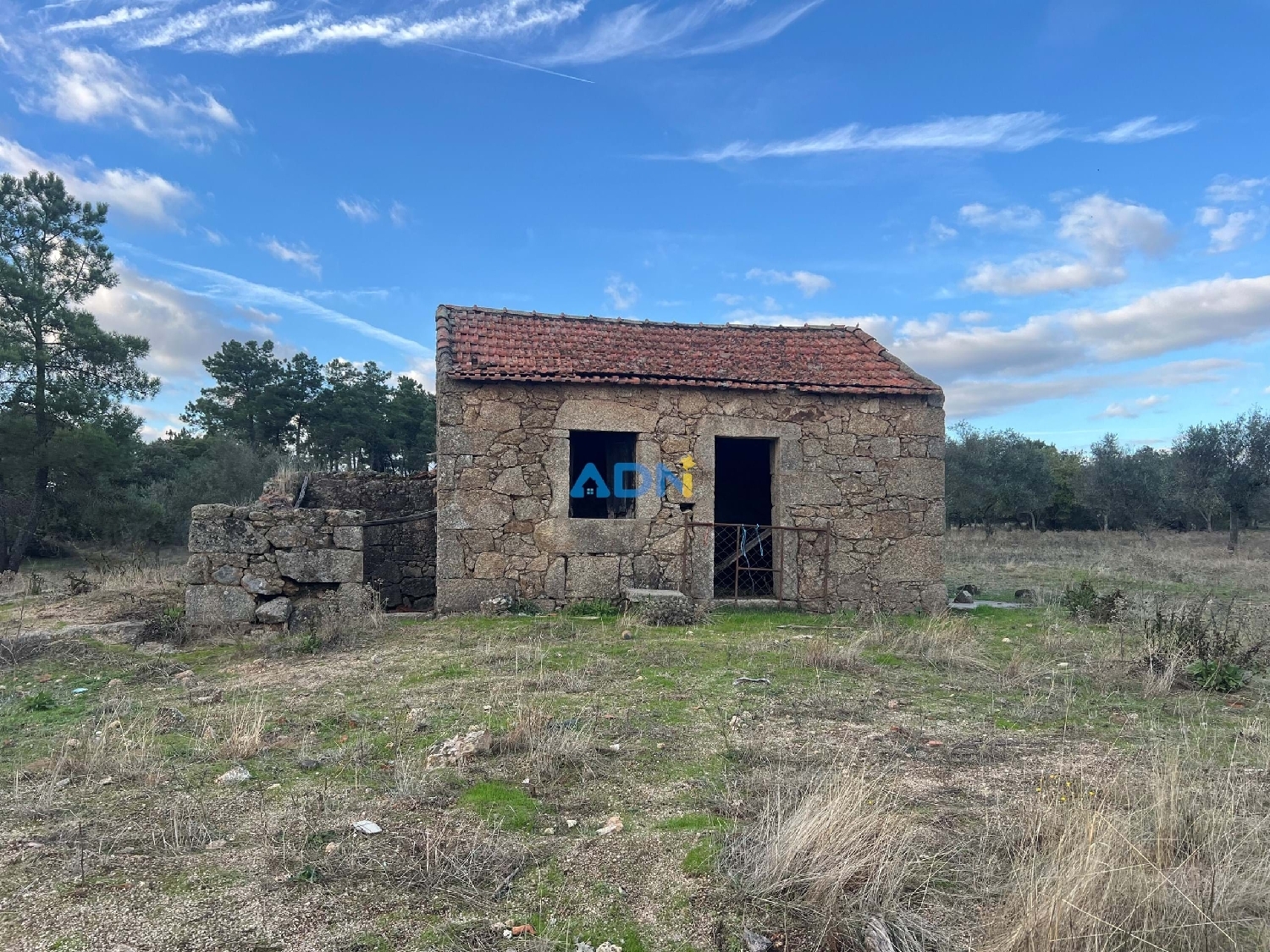  köpa hus på landet Castelo Branco Castelo Branco 1