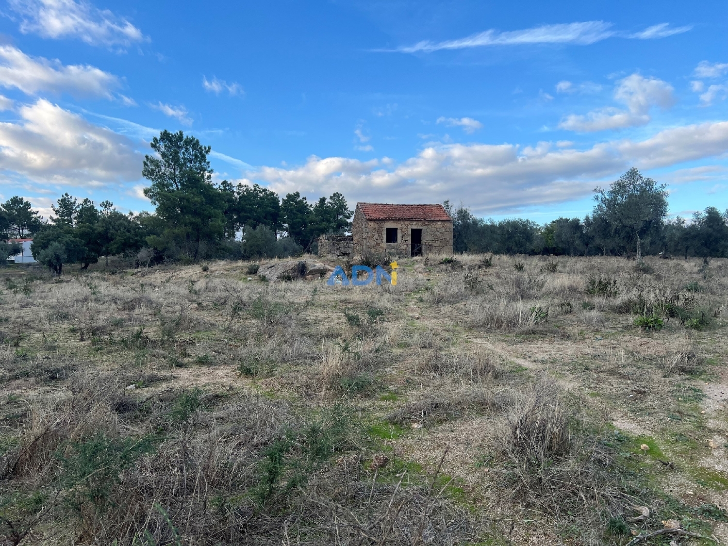 köpa hus på landet Castelo Branco Castelo Branco 3