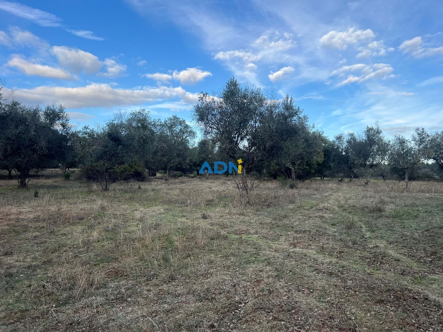  köpa hus på landet Castelo Branco Castelo Branco 4