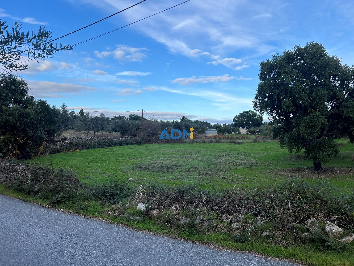  köpa hus på landet Castelo Branco Castelo Branco 5