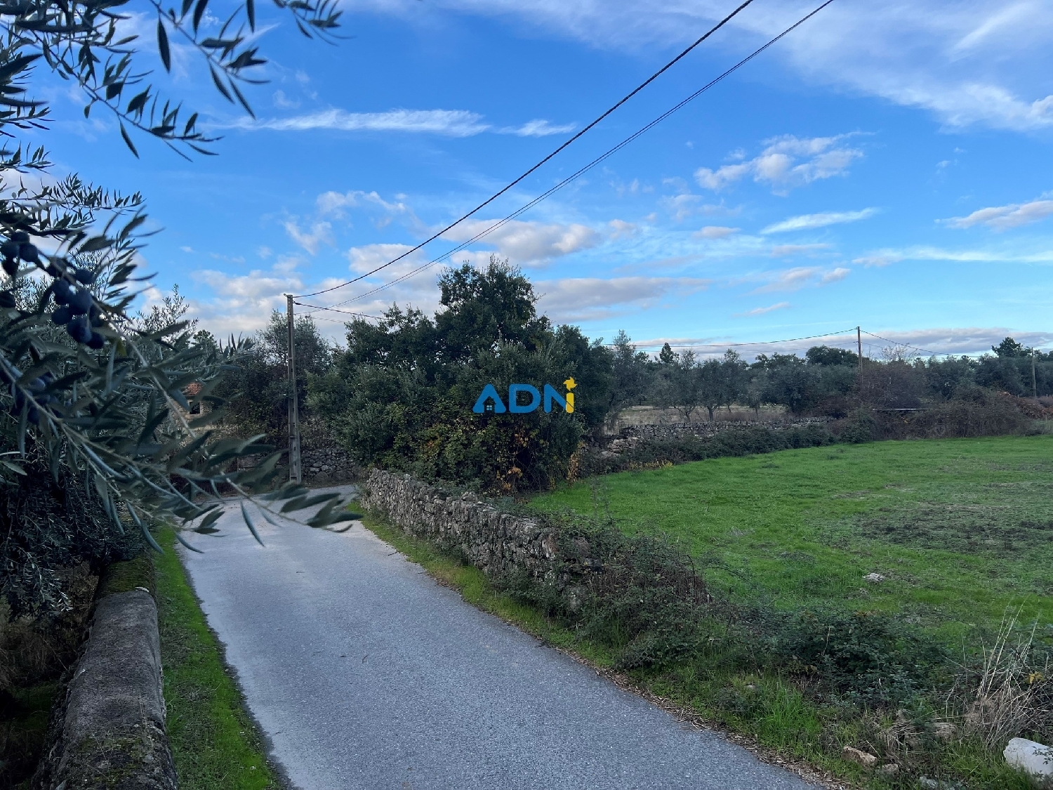  köpa hus på landet Castelo Branco Castelo Branco 8