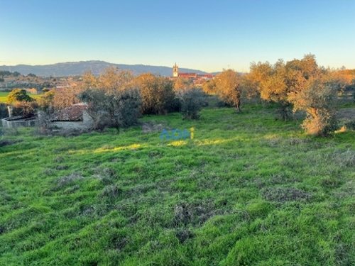 Castelo Branco Castelo Branco hus på landet foto 344198