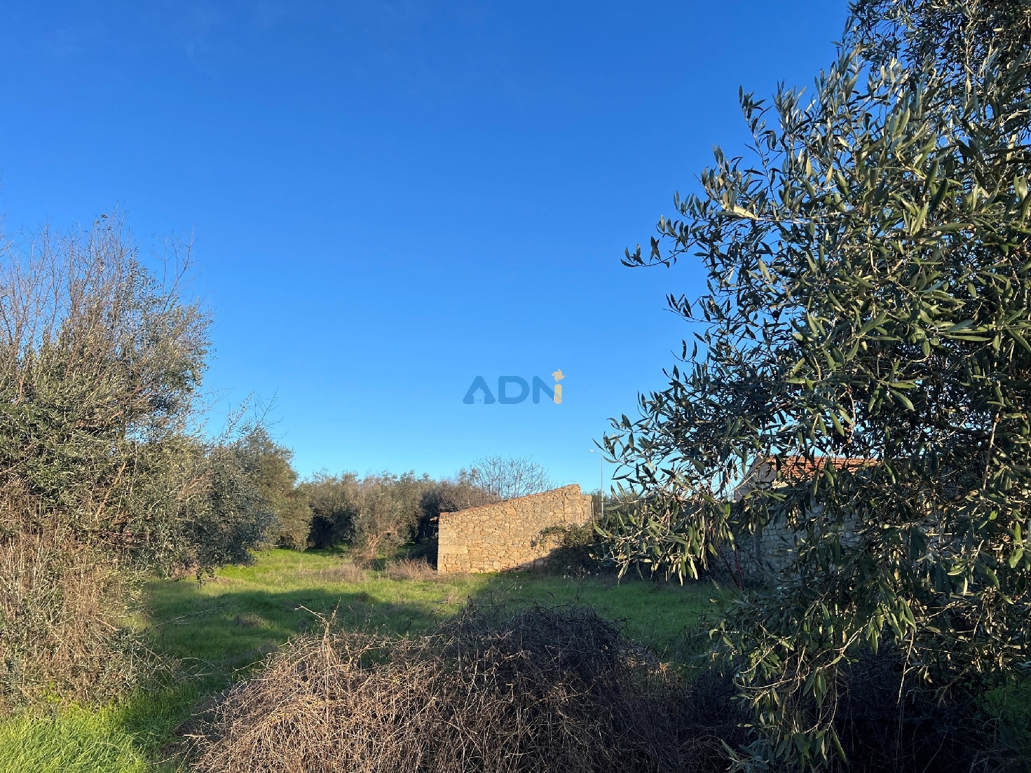  köpa hus på landet Castelo Branco Castelo Branco 5