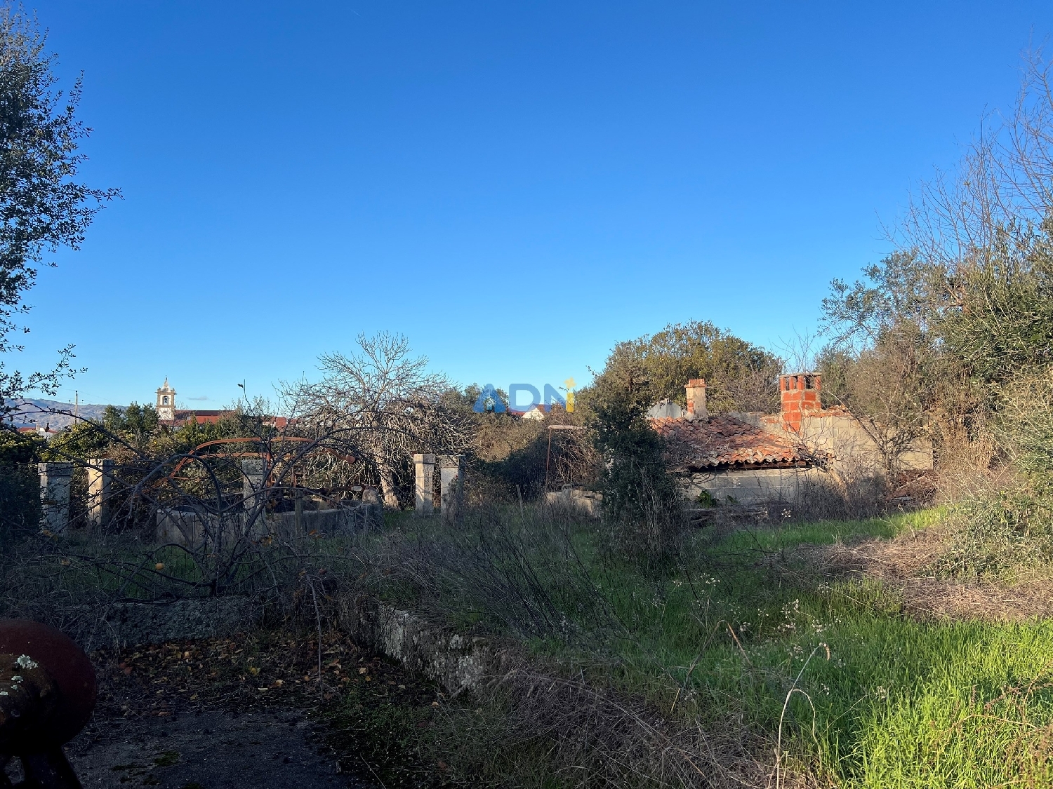  köpa hus på landet Castelo Branco Castelo Branco 6