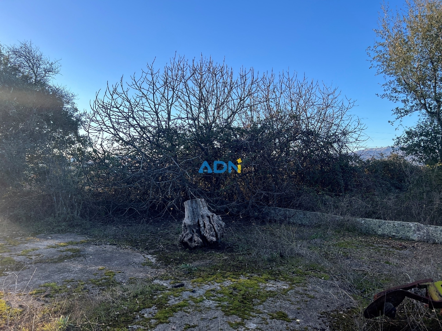  köpa hus på landet Castelo Branco Castelo Branco 8