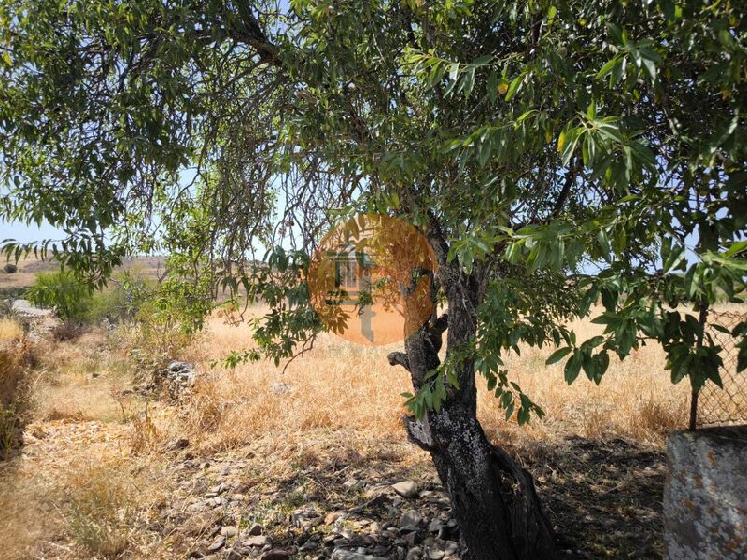  te koop terrein Alcoutim Alcoutim 1