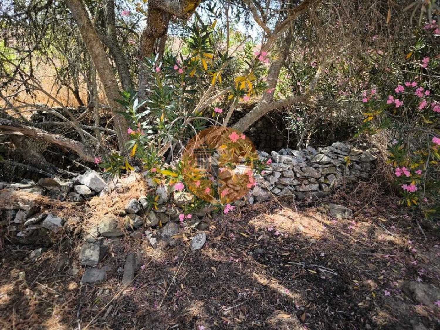 te koop terrein Alcoutim Alcoutim 3