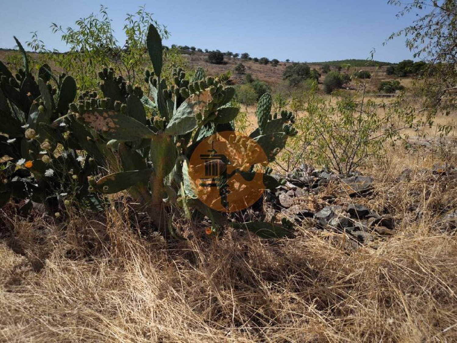  te koop terrein Alcoutim Alcoutim 7