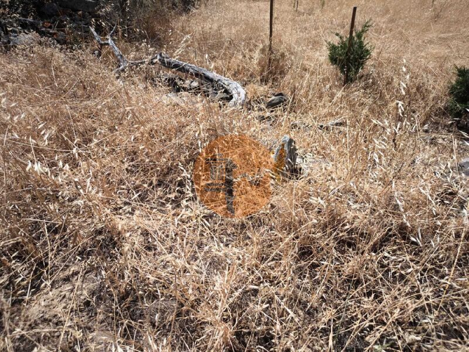  te koop terrein Alcoutim Alcoutim 8