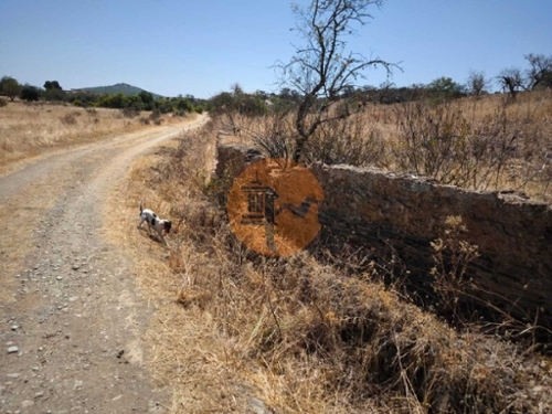 Alcoutim Alcoutim terrein foto 344080