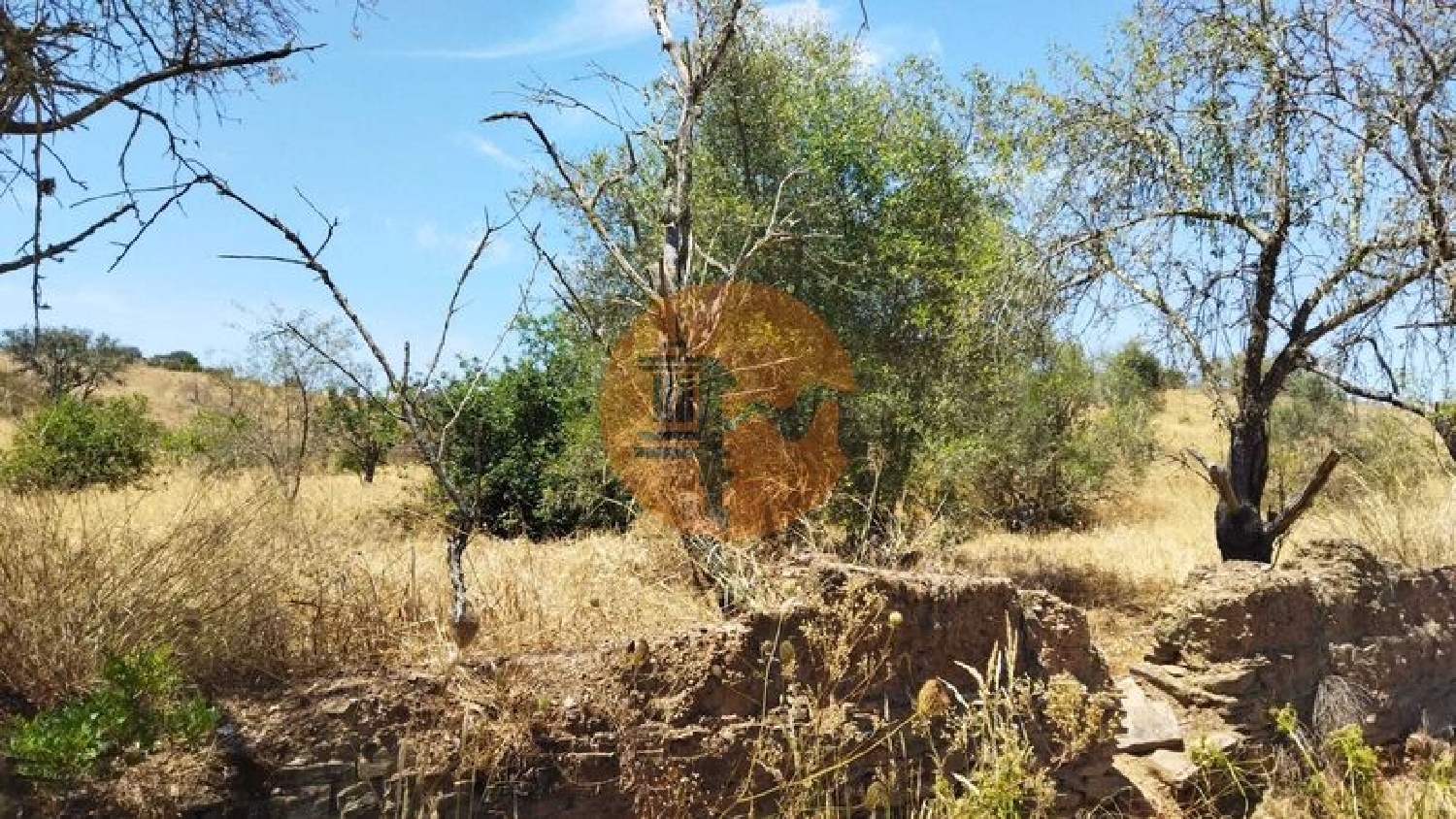  for sale terrain Alcoutim Alcoutim 4