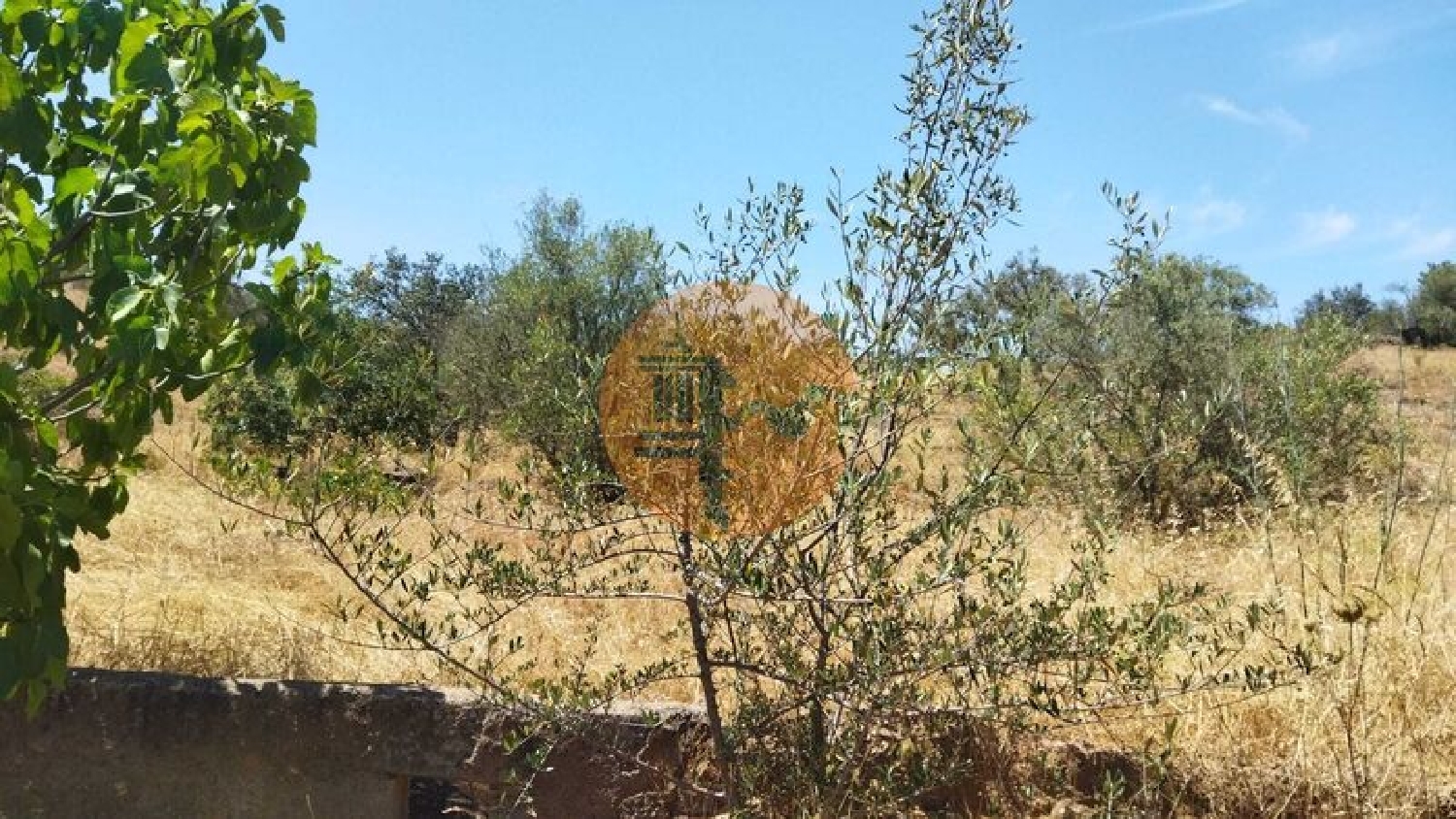  for sale terrain Alcoutim Alcoutim 5