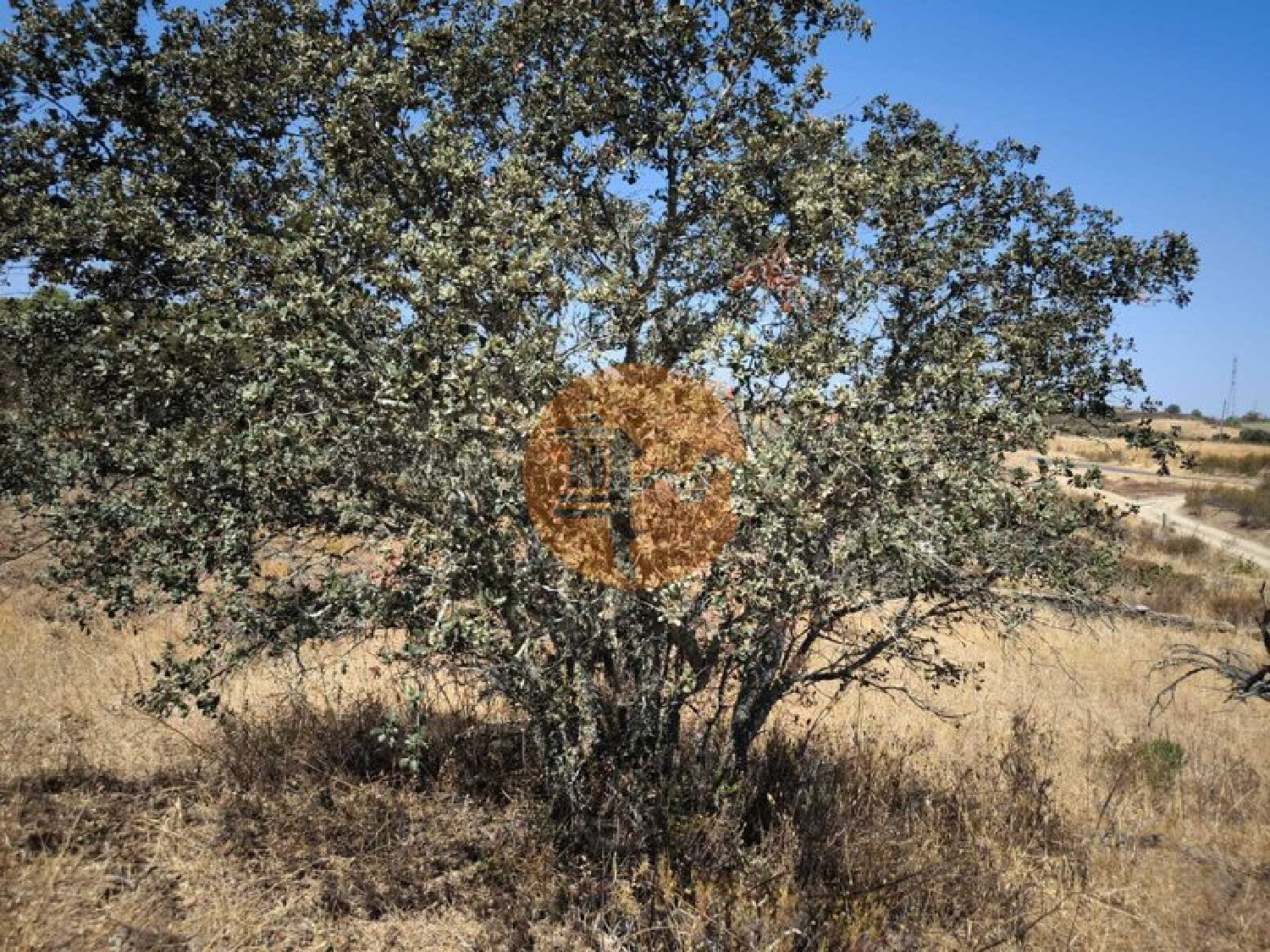  for sale terrain Alcoutim Alcoutim 7