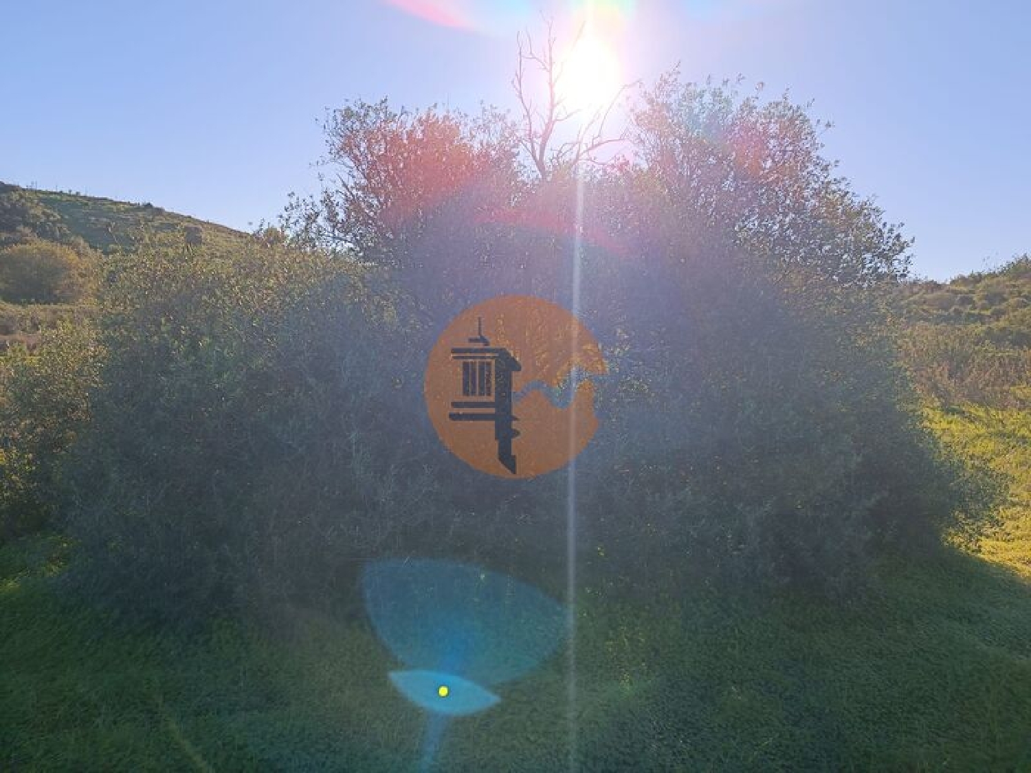  en venta terreno Altura Castro Marim 8