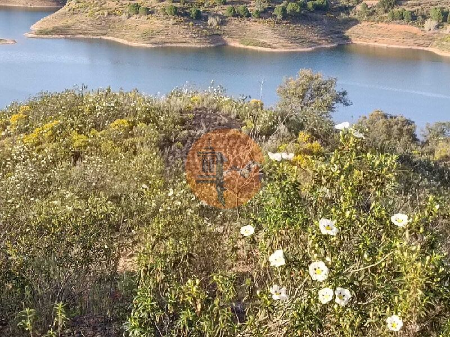  te koop terrein Azinhal Albufeira 6