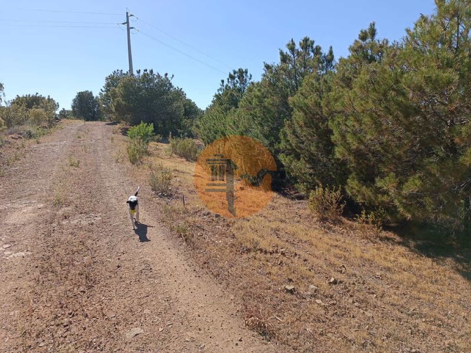  à vendre terrain Azinhal Albufeira 3