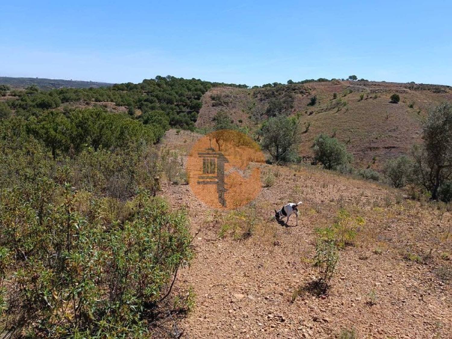  en venta terreno Azinhal Albufeira 7