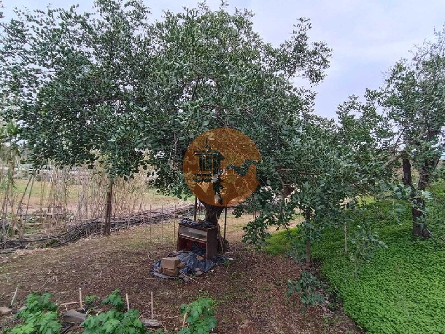  te koop terrein Azinhal Albufeira 4