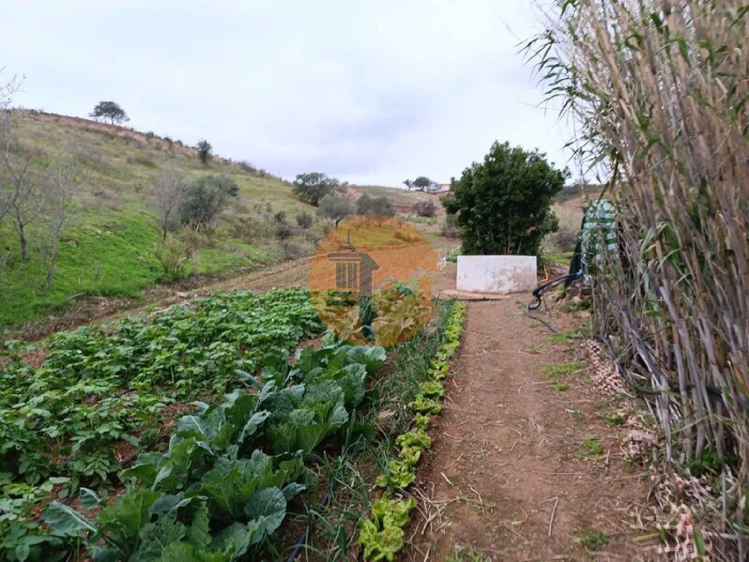  te koop terrein Azinhal Albufeira 8