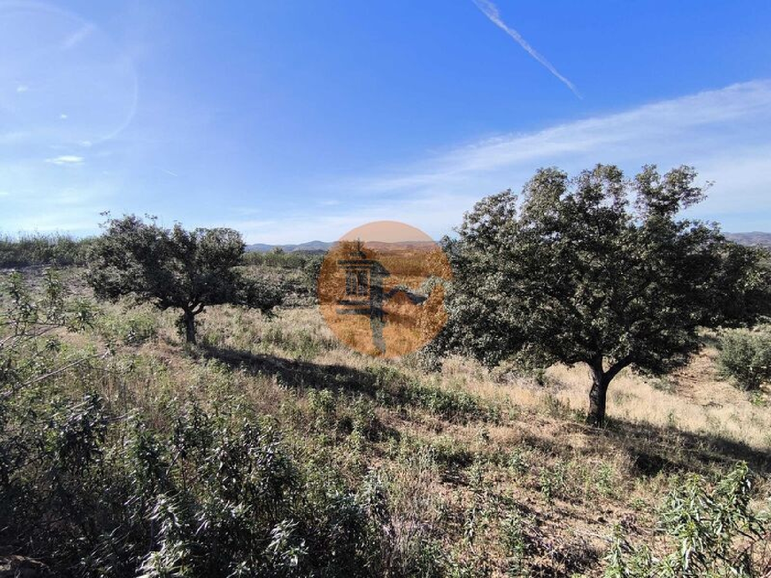  te koop terrein Azinhal Albufeira 7