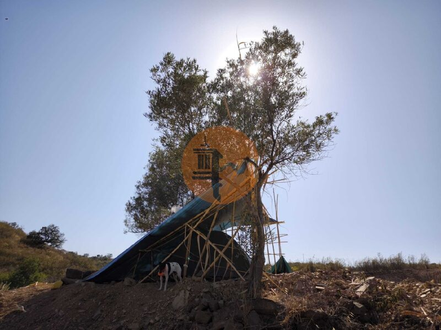  kaufen Grundstück Azinhal Albufeira 1